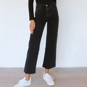 Aritzia Denim Forum High Rise Wide Leg in Black Eyeliner Size 28